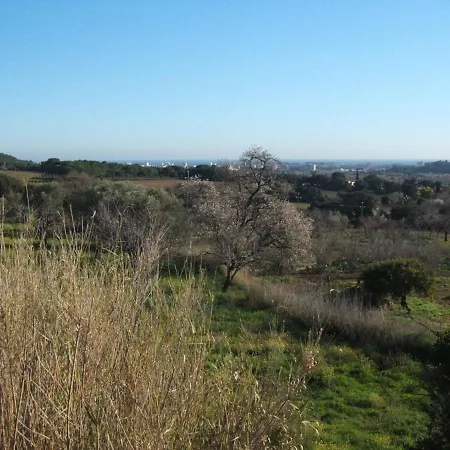 Mas Costabravasi * Calonge (Catalonia)