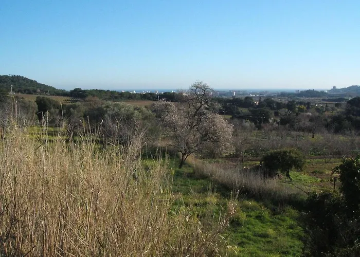Mas Costabravasi * Calonge (Catalonia)